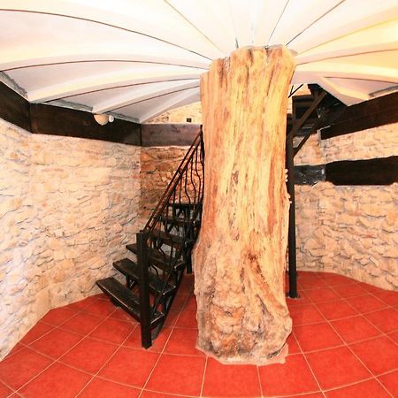 Castelul Lupilor Hotel Chimindia Exterior photo